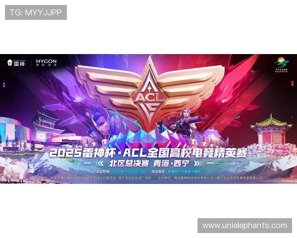 助力创新8K元宇宙生态，2022雷神杯·ACL全国高校电竞精英赛北区决赛圆满收官 – 星空游戏网